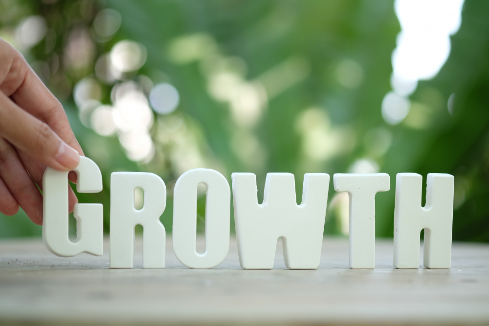 examples-of-personal-brands-a-look-at-their-ways-of-growth